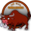 The Bull Challenge - 2017