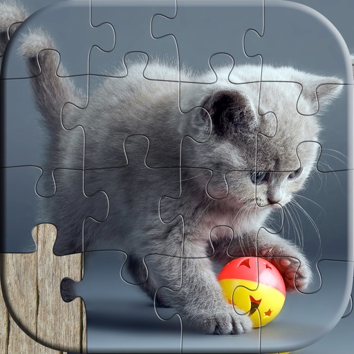 Cat Puzzles for Kids - Relaxing photo picture jigsaw puzzles for kids and adults Icon