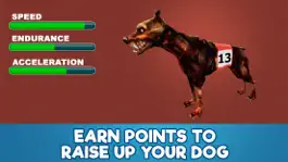 Game screenshot Dog Racing Tournament Sim 3D apk