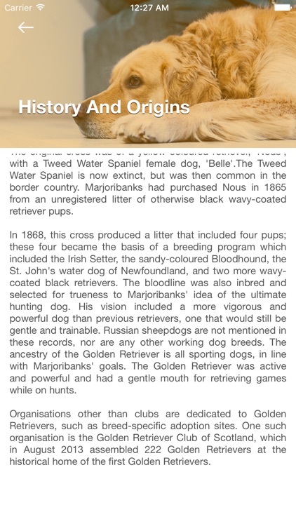 Golden Retriever: Dog Breed Guide screenshot-3
