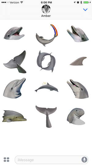Dolphins XL(圖1)-速報App