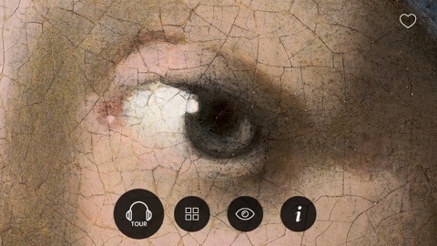 Screenshot #12 for Second Canvas Mauritshuis