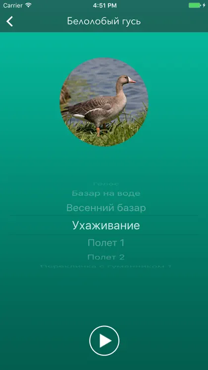 Screenshot 5 di 5 di Охотничий манок на гуся