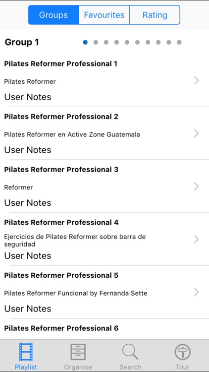 Pilates Reformer Professional