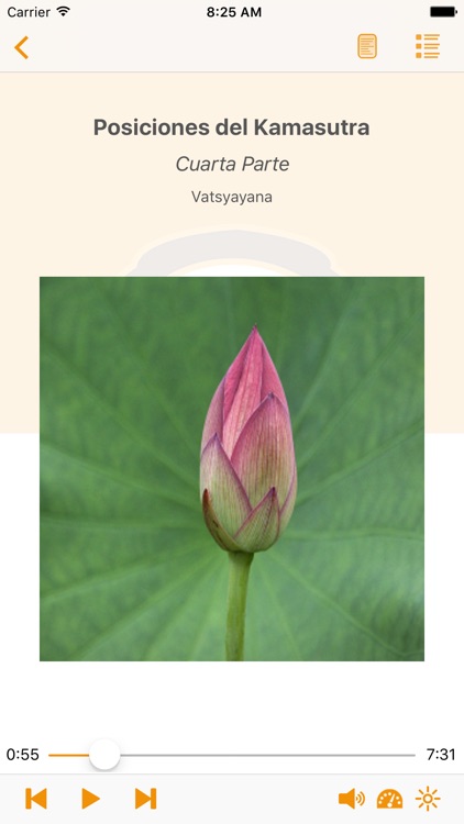 Posiciones del Kamasutra – AudioEbook