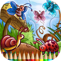 Coloring Book Insect and Arachnid Learn to paint and color a bee spider and more