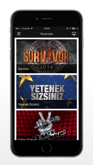 TV8