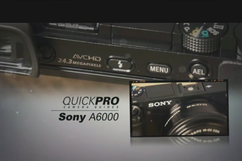 Sony a6000 from QuickPro HD screenshot 2