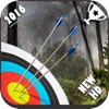 Archery Master 3D Cup