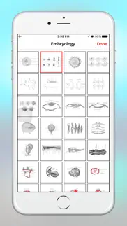 anatomy - 1k+ illustrations iphone screenshot 4