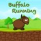 Buffalo Running