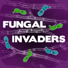 Activities of Fungal Invaders