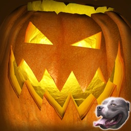 Bite Back - Scare Reaction