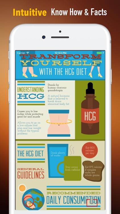 HCG Diet For Beginners-Science Of Losing Weight