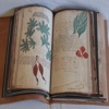 Voynich Manuscript Kit