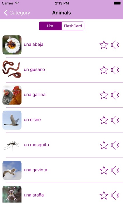 Learn Spanish by Picture and Sound