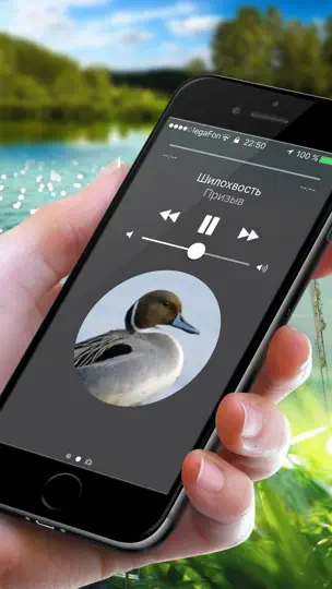 Скриншот Охотничий манок на утку на iPhone 1
