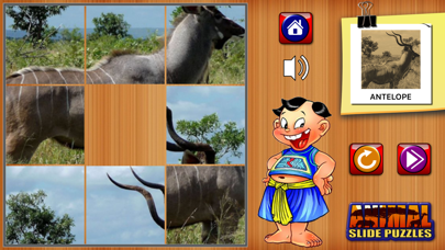 Screenshot #1 pour Trò Chơi Ghép Hình Động Vật Cho Bé - Slide Puzzle