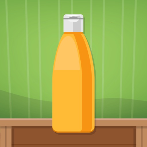 Jump Bottle Flip Challenge Endless Game icon