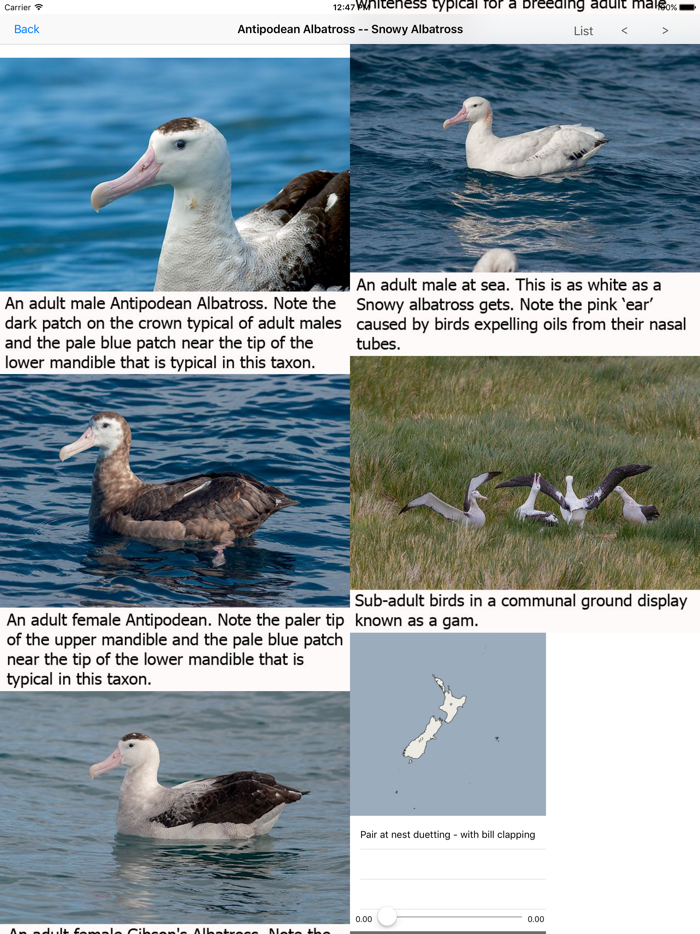 Birds of New Zealand