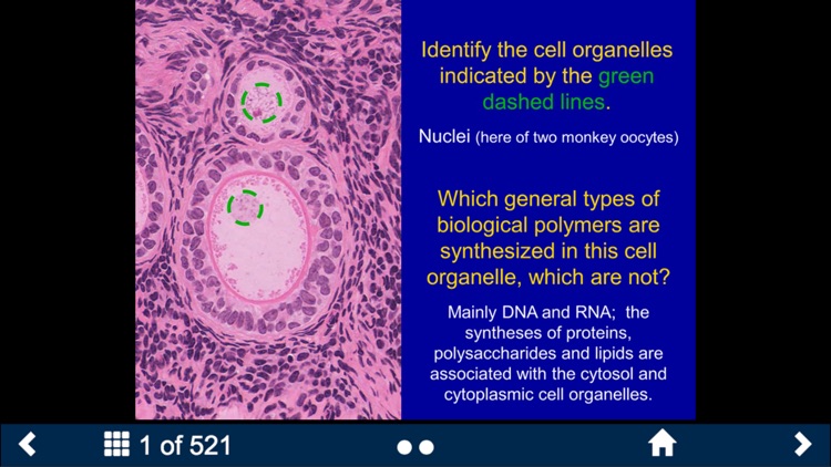 Histology Complete - SecondLook
