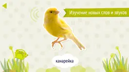 Game screenshot Domi Domi Listen And Guess Lite: слушай и угадывай mod apk