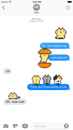 Pixel Art Cat(圖2)-速報App