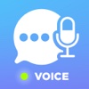Voice Translator with Offline Dictionary
