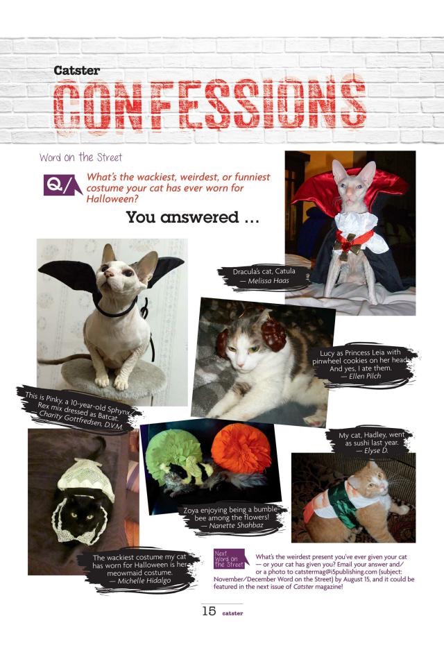 Catster Magazine screenshot 4