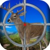 2016 Great Ultimate Big Buck Deer Hunt Sniper Pro