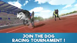 Game screenshot Dog Racing Tournament Sim 3D mod apk
