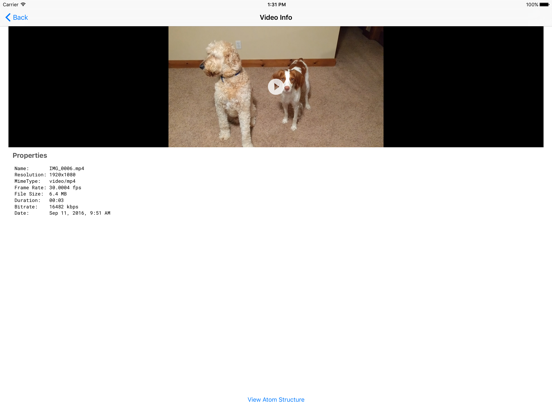 Screenshot #5 pour Video Info Viewer