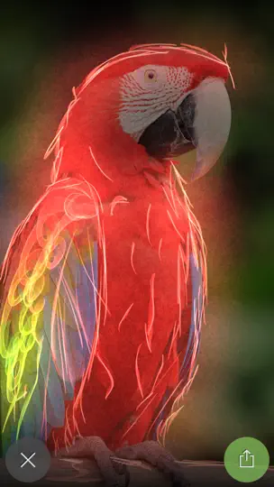 Скриншот Silk Coloring на iPhone 2