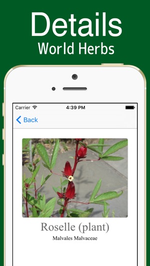 World Herbs!(圖2)-速報App