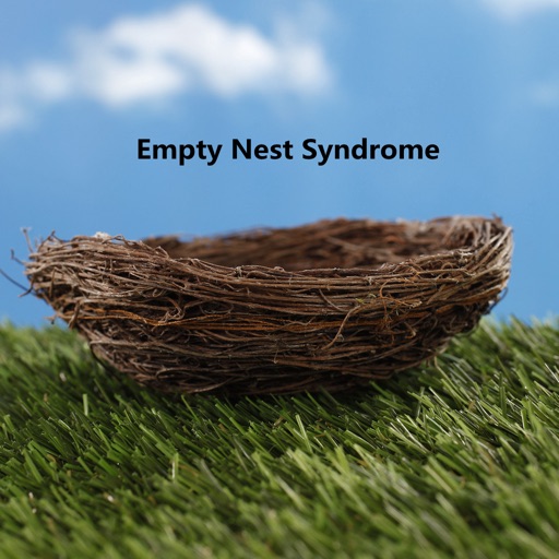 Empty Nest Syndrome:Empty Nest Tips and Tutorial