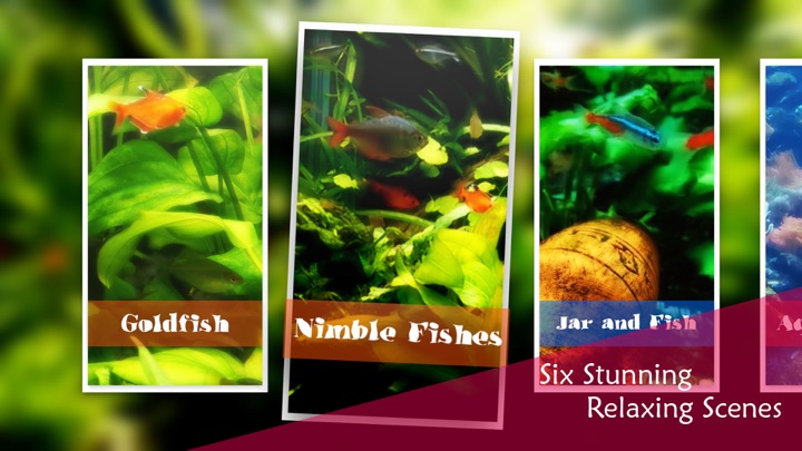 Screenshot #2 pour Chill & Relax TV Aquarium Cay Fish Tank HD Video