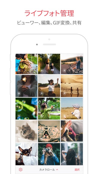 LivePix - Live Photoを... screenshot1