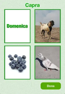 Game screenshot Flashcards Italian Lesson hack