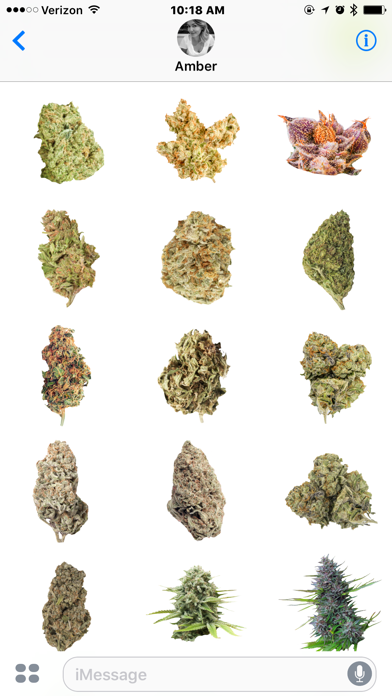 Screenshot #2 pour Marijuana Cannabis