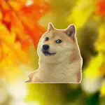 Doge Memes Faces - stickers meme pack for iMessage App Cancel