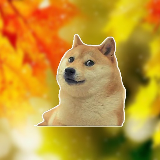 Doge Memes Faces - stickers meme pack for iMessage icon