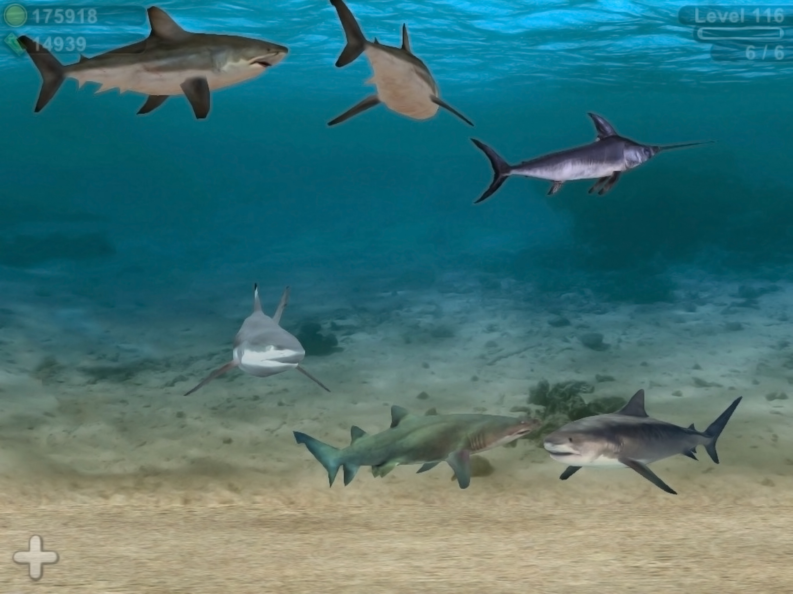 Fish Farm screenshot 8