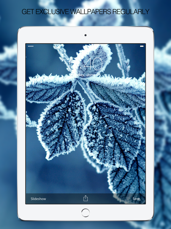 Screenshot #6 pour Winter Wallpapers – Winter Pictures & Backgrounds