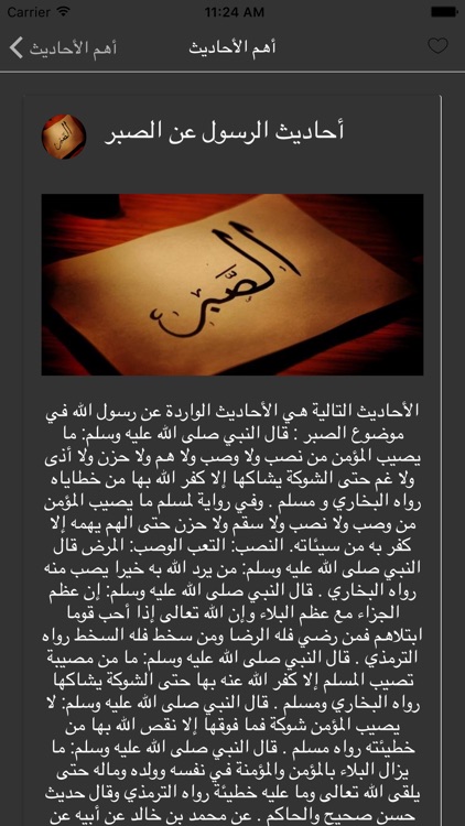 حديث نبوي شريف screenshot-4