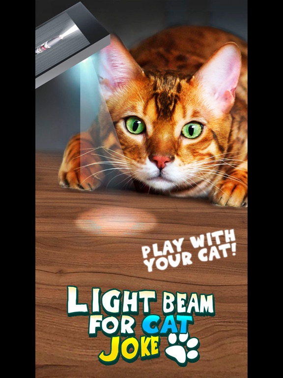 Light Beam For Cat Joke iPad screenshot