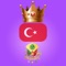 Turkish Monarchy and Stats