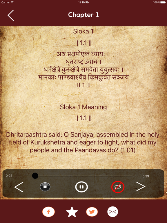 Screenshot #5 pour Bhagavad Gita Saar Hindi