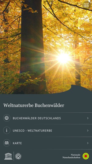 Weltnaturerbe Buchenwälder