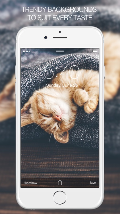 Cat Wallpapers & Cat Pictures screenshot-3