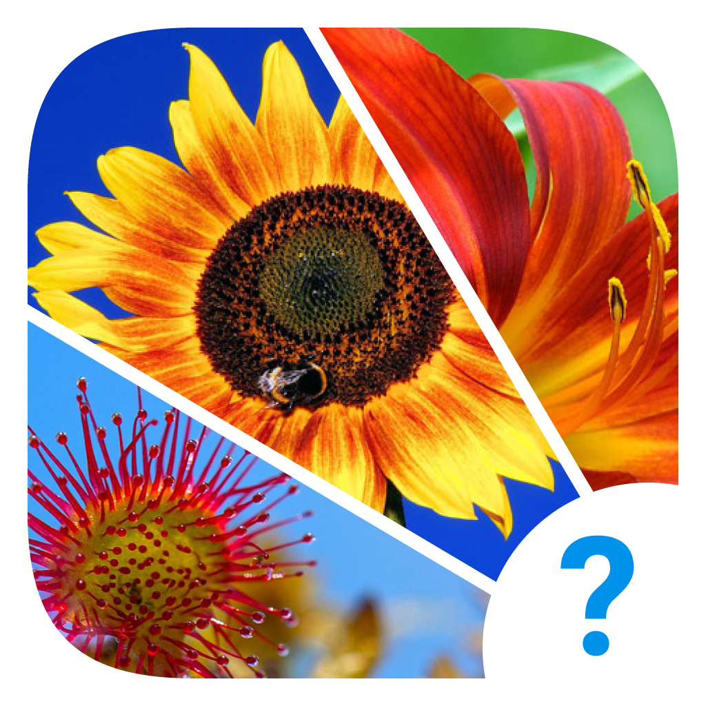 Get 4 Clues: Word Search Game for iOS, iPhone, iPad Aso Report